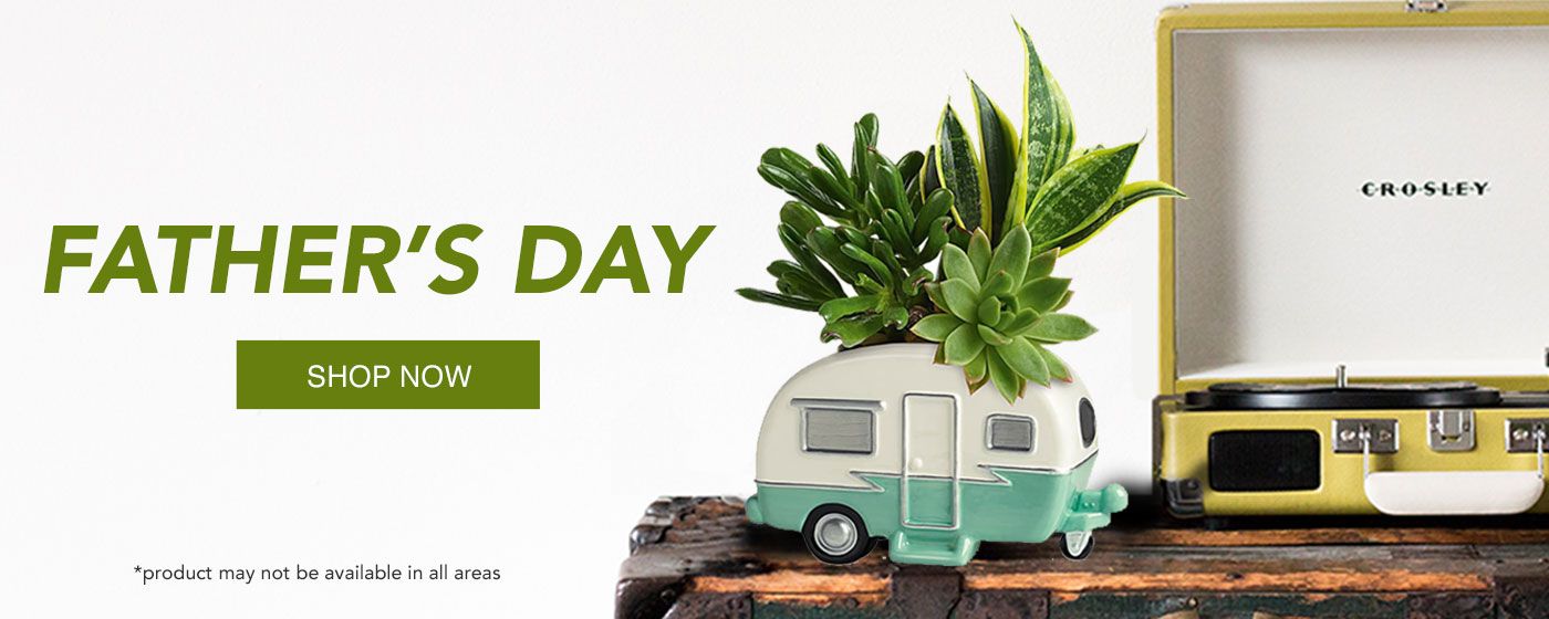 Father's Day Flowers Delivery - Send Father's Day Flowers