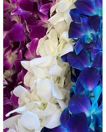 Dendrobium Orchid Lei Flower Arrangement